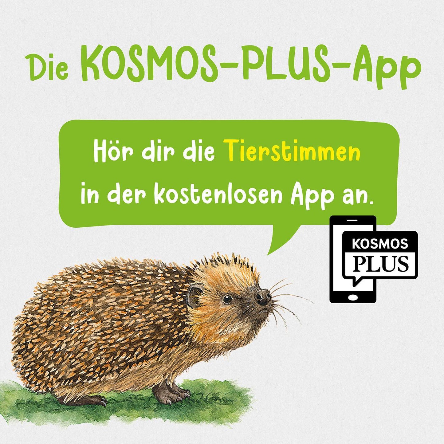 Kosmos Tier- und Pflanzenführer. Kindernaturführer (Deutsch, 2022, Holger Haag, Oftring, Bärbel Anita van Saan)