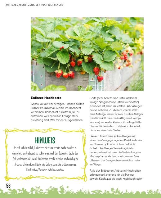 Heel Hochbeete für jeden Garten (Deutsch, 2022, Axel Gutjahr)