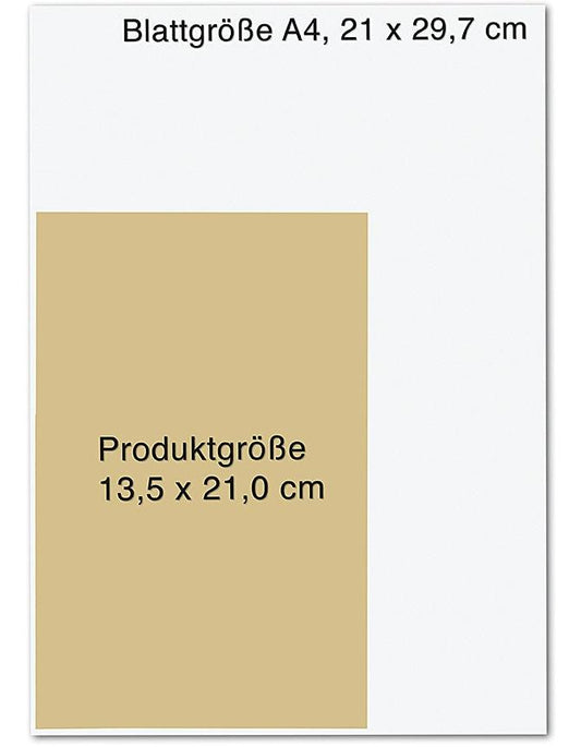 Droemer Knaur Vor uns das Rauschen des Meeres (Deutsch, 2024, Janine Ukena)