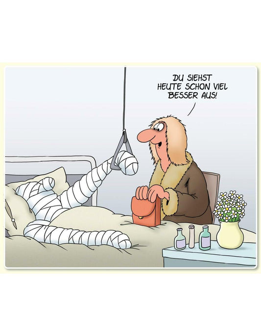 Lappan Uli Stein - Auf die Gesundheit! (Deutsch, 2024, Uli Stein)