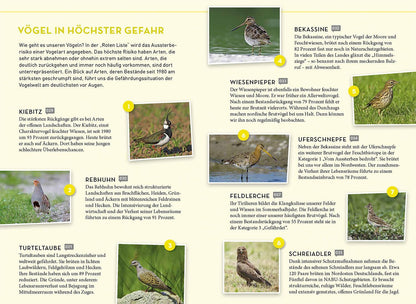 Kosmos Lieblingsvögel (Deutsch, 2023, Daniela Strauß)