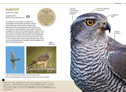 Kosmos Lieblingsvögel (Deutsch, 2023, Daniela Strauß)