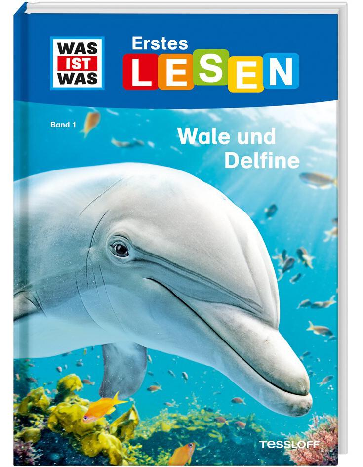 Tessloff WAS IST WAS Erstes Lesen, Band 1: Wale und Delfine (Deutsch, 2018, Christina Braun, Marie Gerstner)