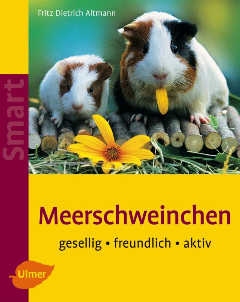 Meerschweinchen (Fritz Dietrich Altmann)
