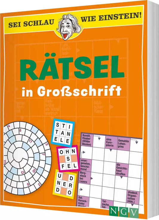 Naumann + Göbel Sei schlau wie Einstein! - Rätsel in Großschrift (Deutsch, 2022)