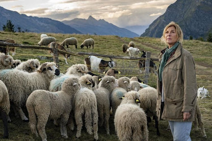 Belle & Sebastian - Ein Sommer vollerDVD