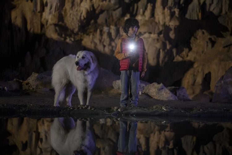 Belle & Sebastian - Ein Sommer vollerDVD