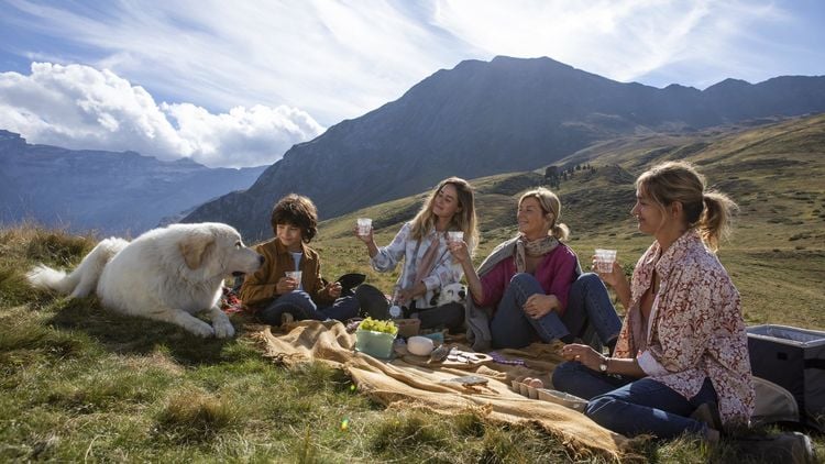 Belle & Sebastian - Ein Sommer vollerDVD