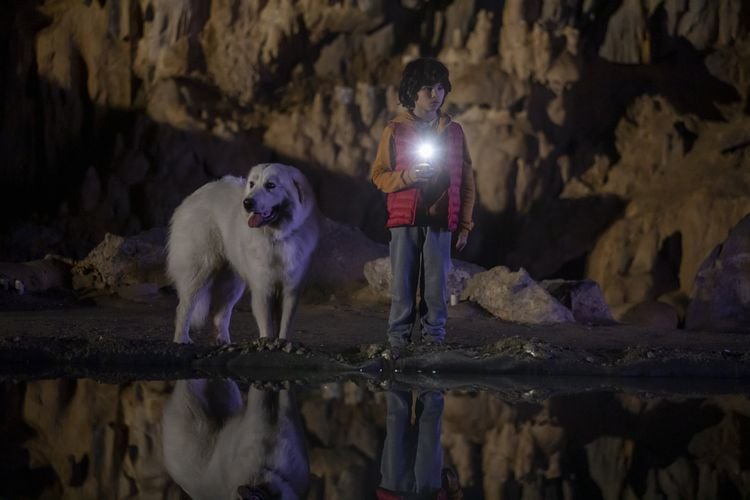 Belle & Sebastian - Ein Sommer vollerDVD