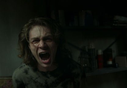 Sony Insidious: The Red Door (DVD, 2024, Deutsch, Englisch, Französisch, Arabisch)