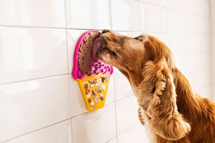 Schleckmatte für Hunde & Katzen