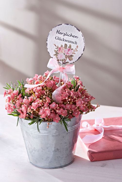 Dekostecker "Romantic Garden" 6er-Set