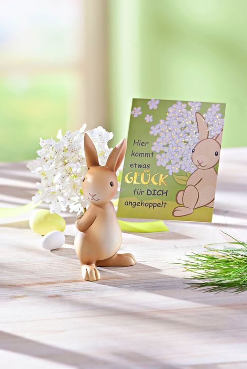 Geschenkset Hase "Knuffi" mit Blumen