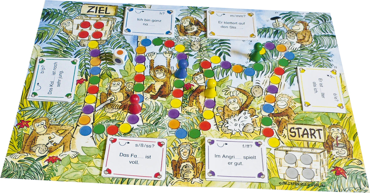 Wer knackt die Nuss? Karteikarten, Würfelspiel (Spiel)