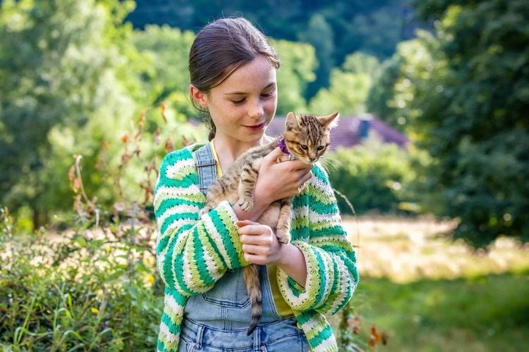 Lou - Abenteuer auf Samtpfoten  DVD