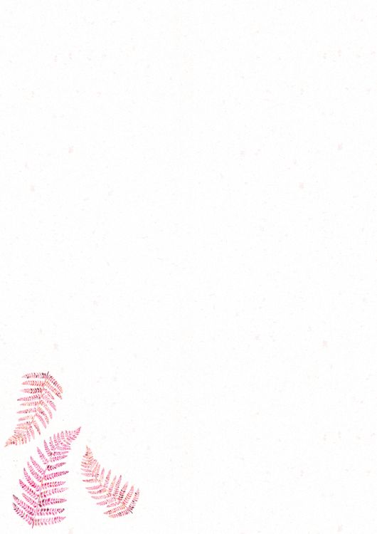 Briefpapier-Set - All about rosé