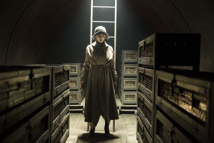 Rainbow Video Babylon Berlin - Collection Staffel 1-4 (DVD, 2023)