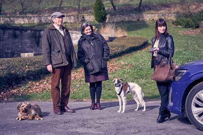 Rainbow Video Der Pfau