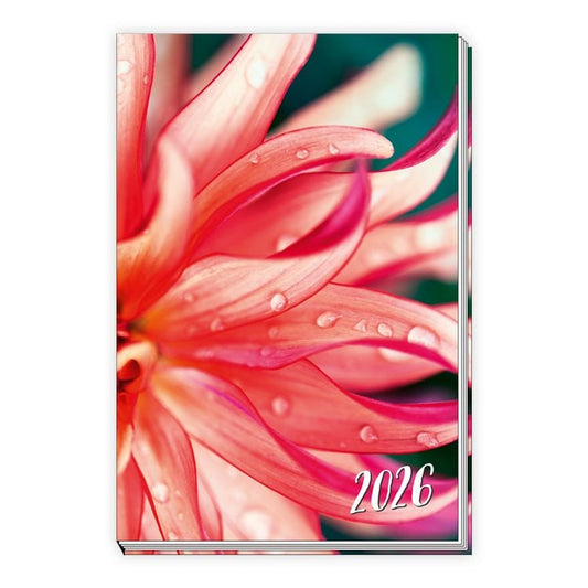 Trötsch Taschenkalender A6 Flowers 2025