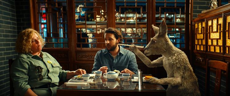 Die Känguru-Verschwörung   -DVD