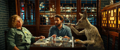 Die Känguru-Verschwörung   -DVD