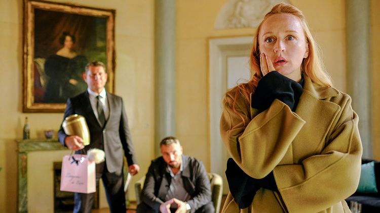 EuroVideo Vorstadtweiber - Staffel 4 (DVD, 2019)