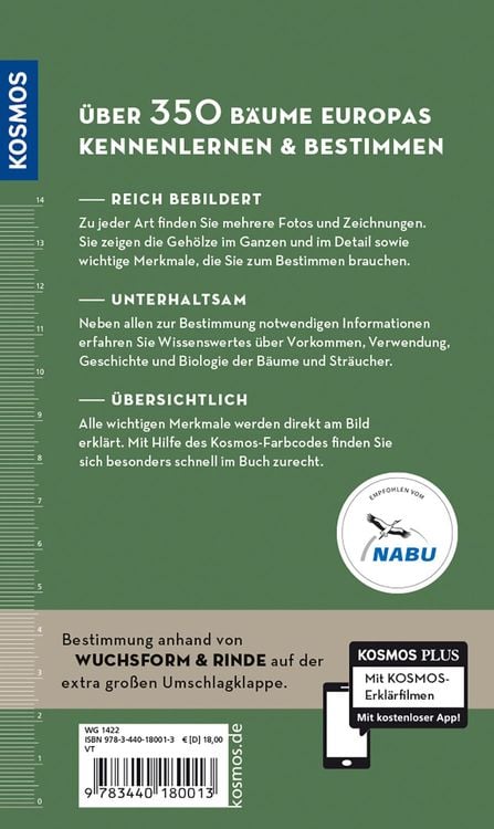 Welcher Baum ist das?