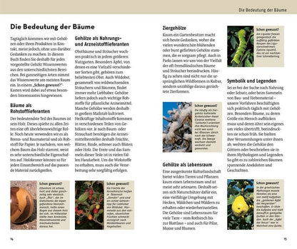 Welcher Baum ist das?