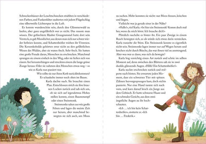 Die Suche nach dem magischen Amulett / Lichterland Bd.1