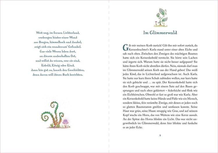 Die Suche nach dem magischen Amulett / Lichterland Bd.1