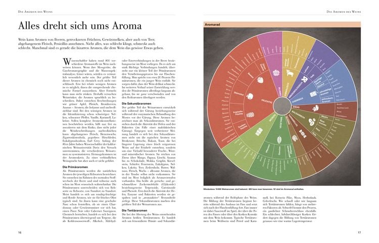 Wein - Die große Schule