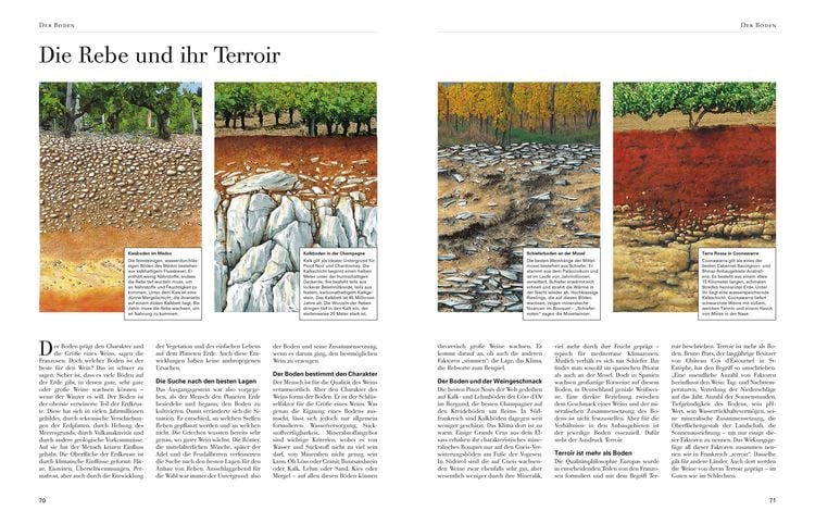 Wein - Die große Schule