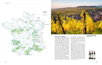 Wein - Die große Schule