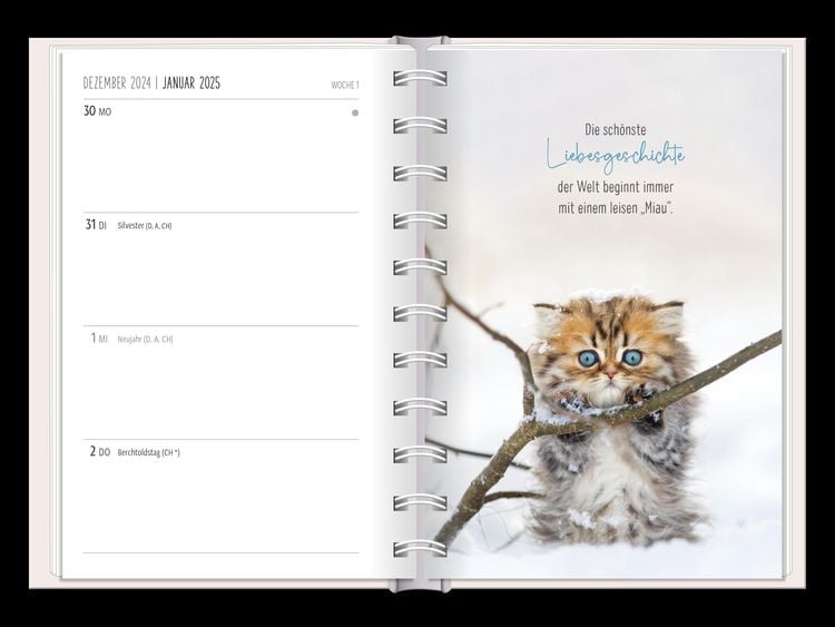 Terminplaner 2024 Samtpfoten