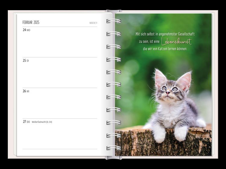 Terminplaner 2024 Samtpfoten