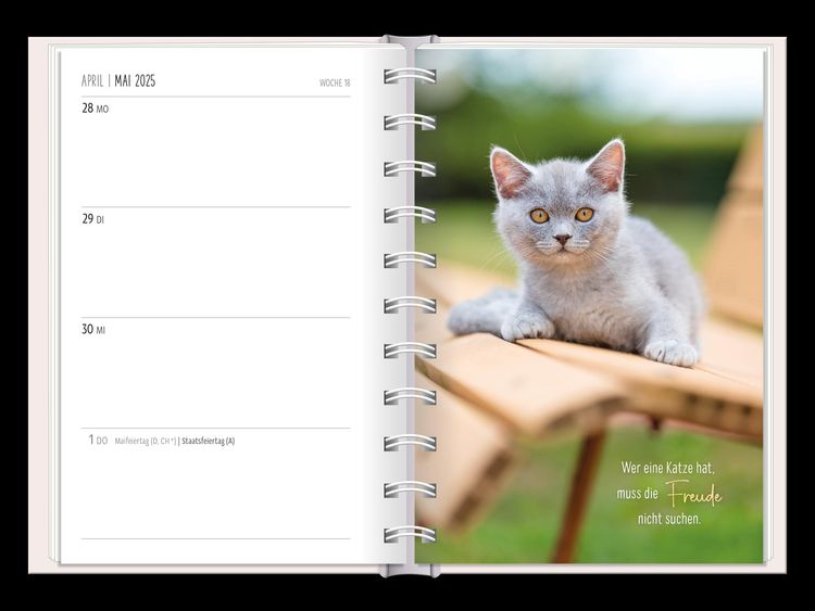 Terminplaner 2024 Samtpfoten