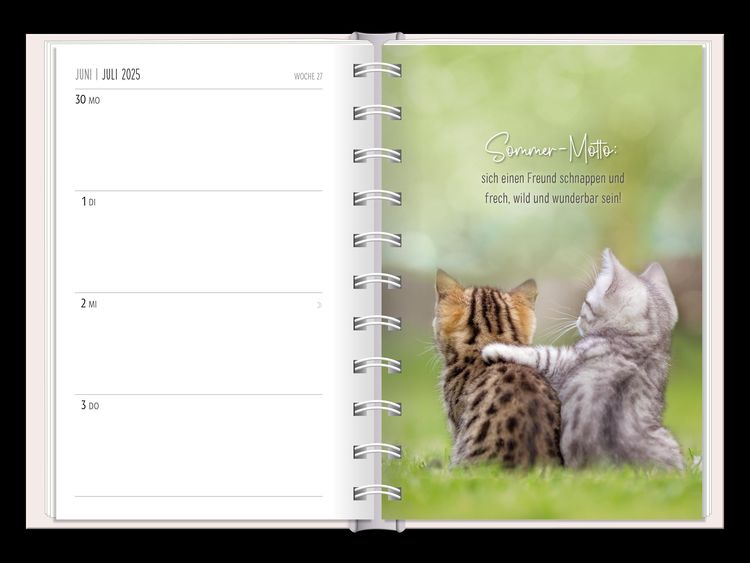 Terminplaner 2024 Samtpfoten