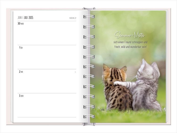 Terminplaner 2024 Samtpfoten