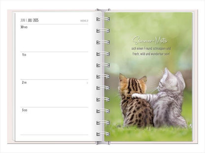 Terminplaner 2024 Samtpfoten