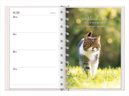 Terminplaner 2024 Samtpfoten