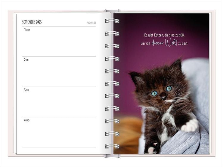 Terminplaner 2024 Samtpfoten