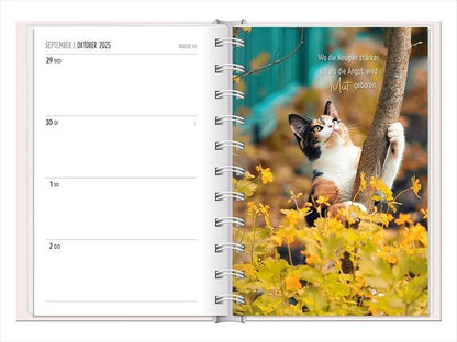 Terminplaner 2024 Samtpfoten