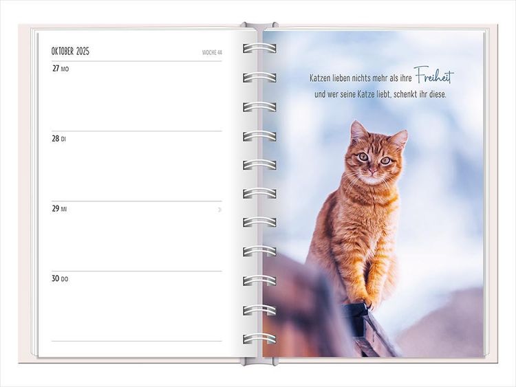 Terminplaner 2024 Samtpfoten