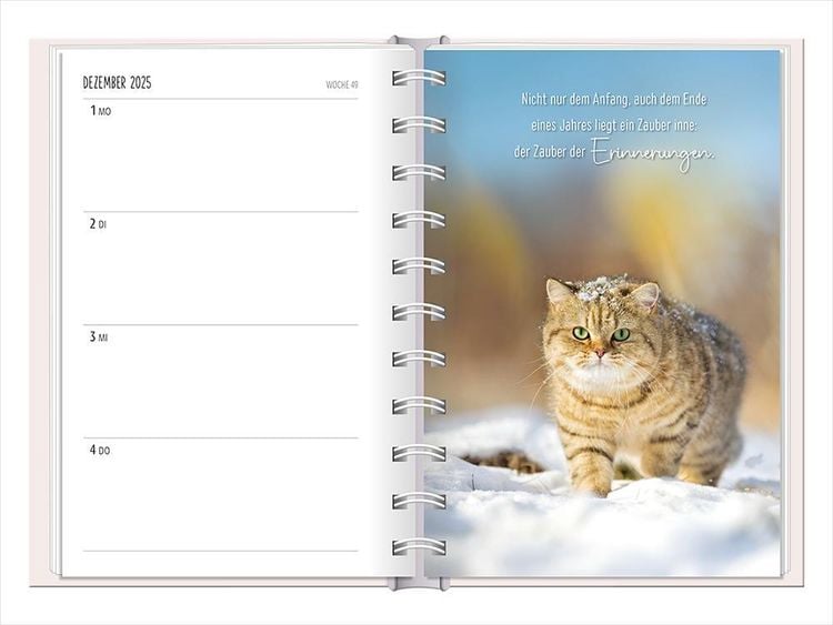 Terminplaner 2024 Samtpfoten