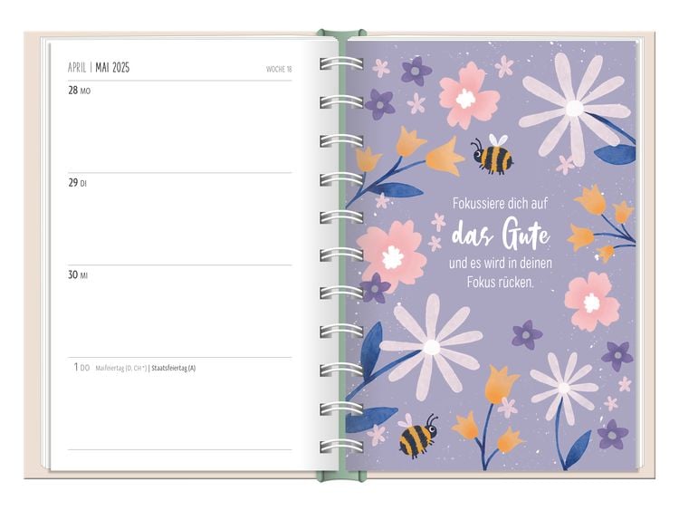 Terminplaner 2024 Hallo Glück!