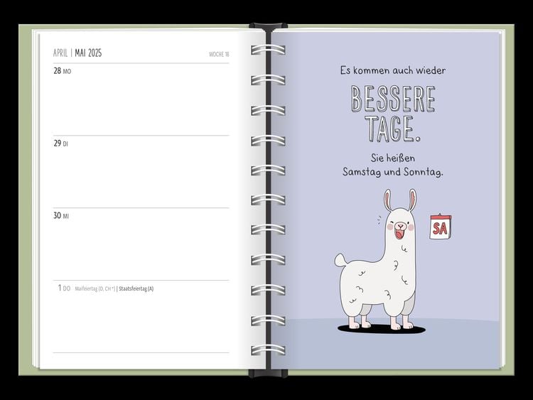 Terminplaner 2024 Der frühe Vogel