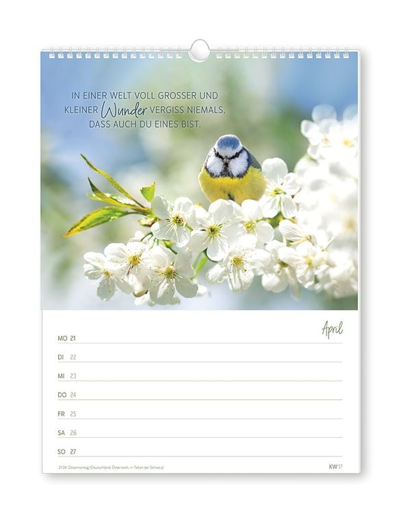 Wochenkalender klein 2024 Zeit für dich