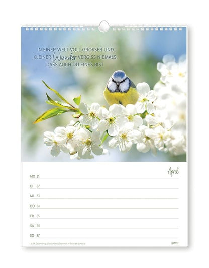 Wochenkalender klein 2024 Zeit für dich