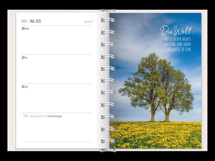 Terminplaner 2024 Lichtblicke