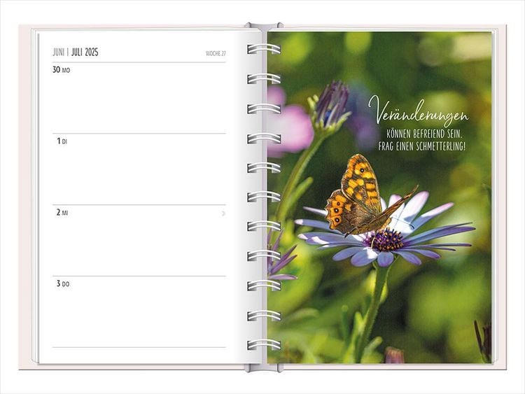 Terminplaner 2024 Lichtblicke